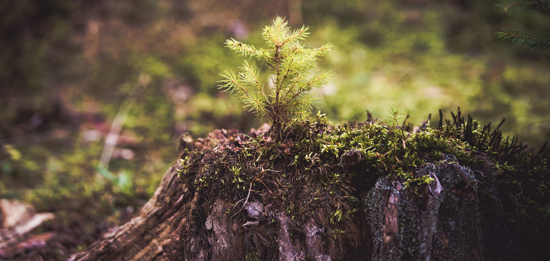 AdobeStock