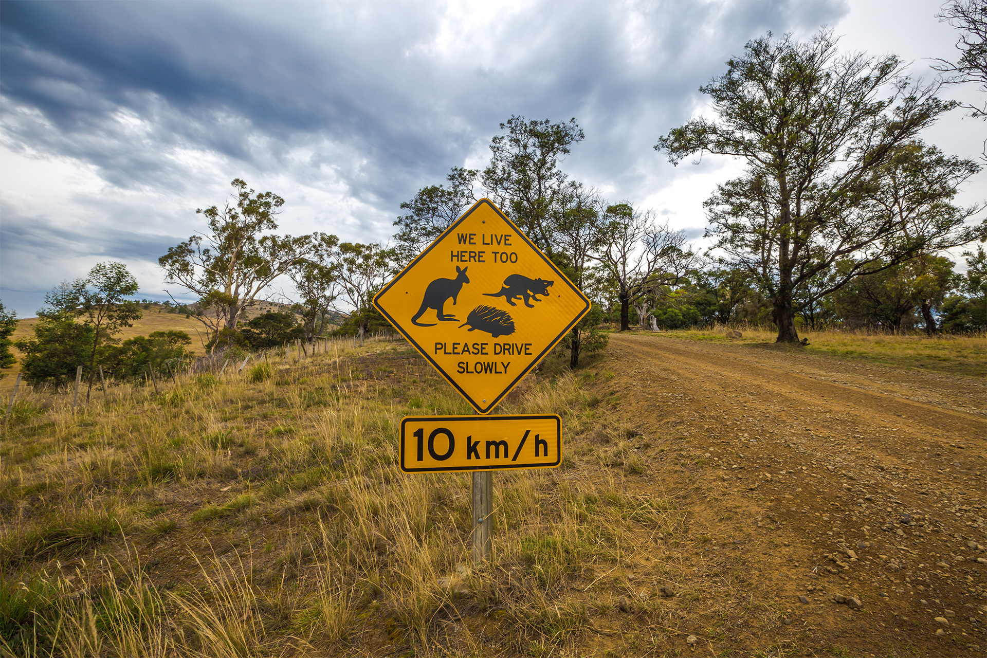Warning sign for wildlife crossing on Tasmanian dirty road, please drive slowly, kangaroos, tasmania devils and echidnas live here too