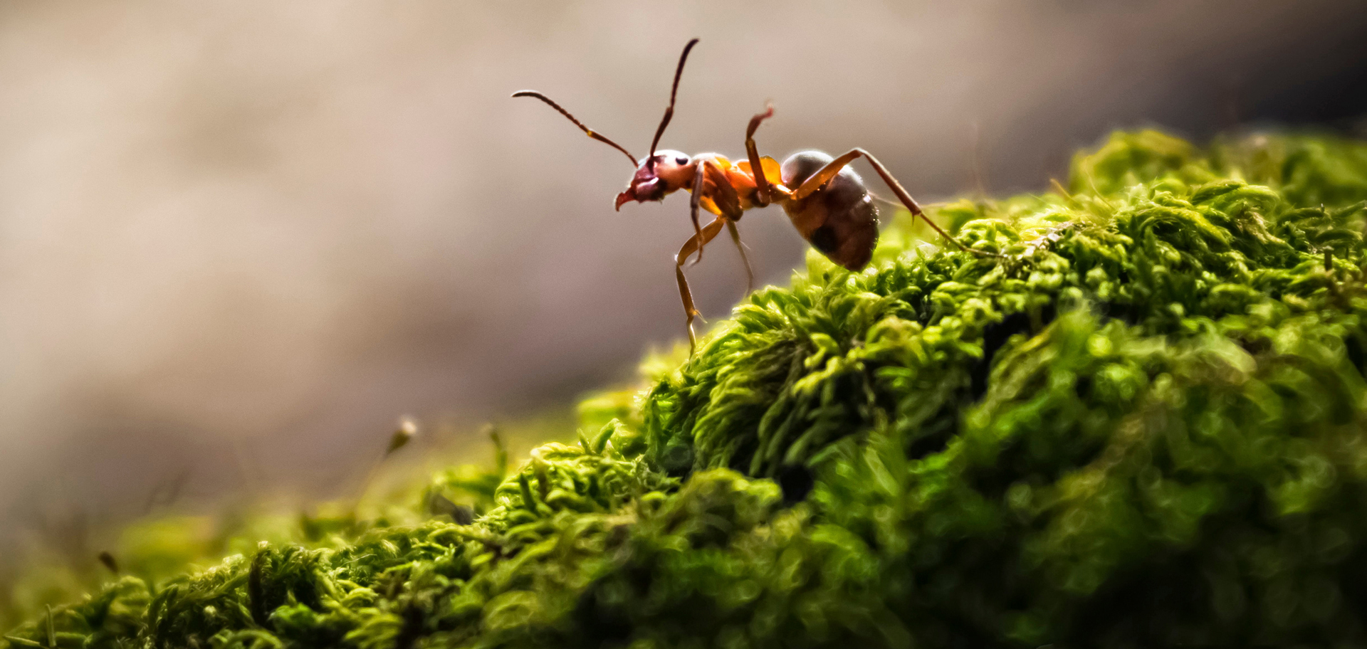 AdobeStock
