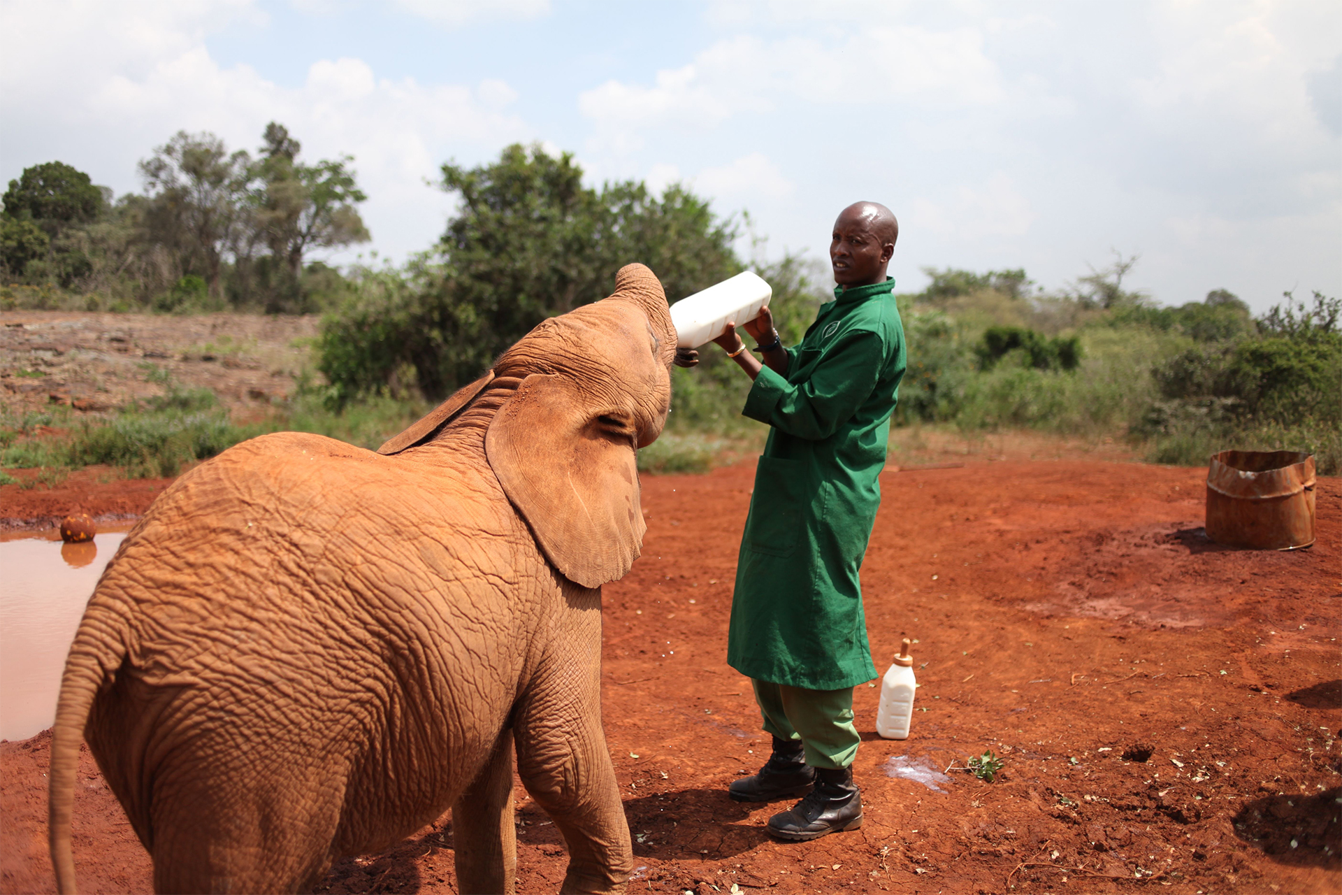 Nat Hab & WWF guests can experience unique opportunities, such as visiting this elephant sanctuary in Kenya! © Megan Bryant