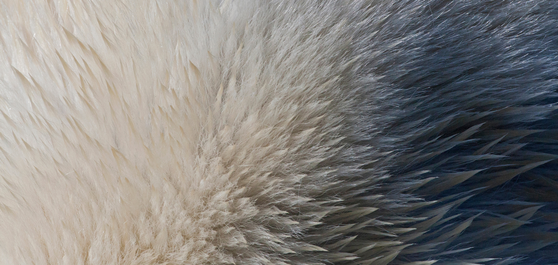 AdobeStock