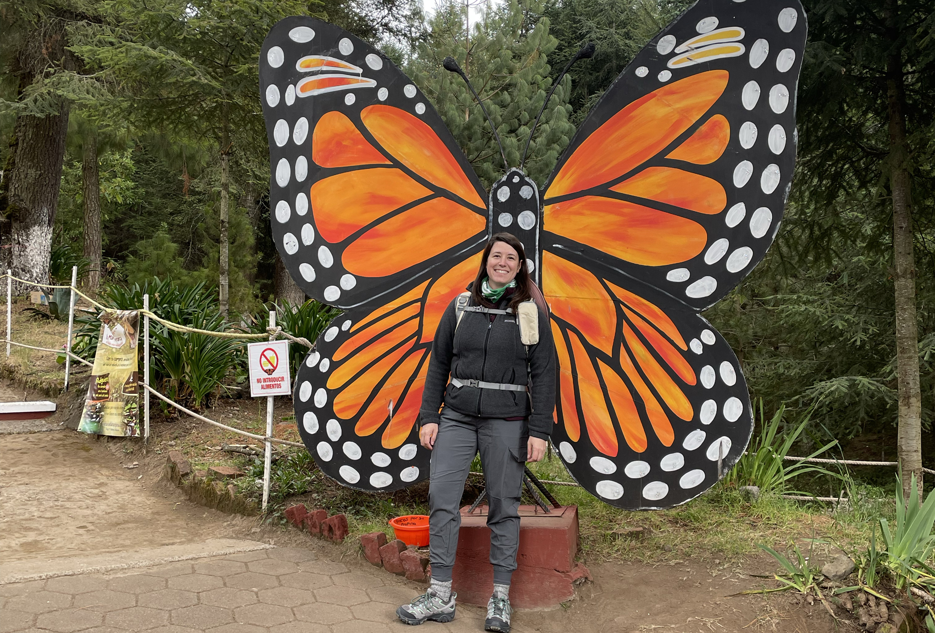 Women teachers monarch butterflies mexico conservation science migration