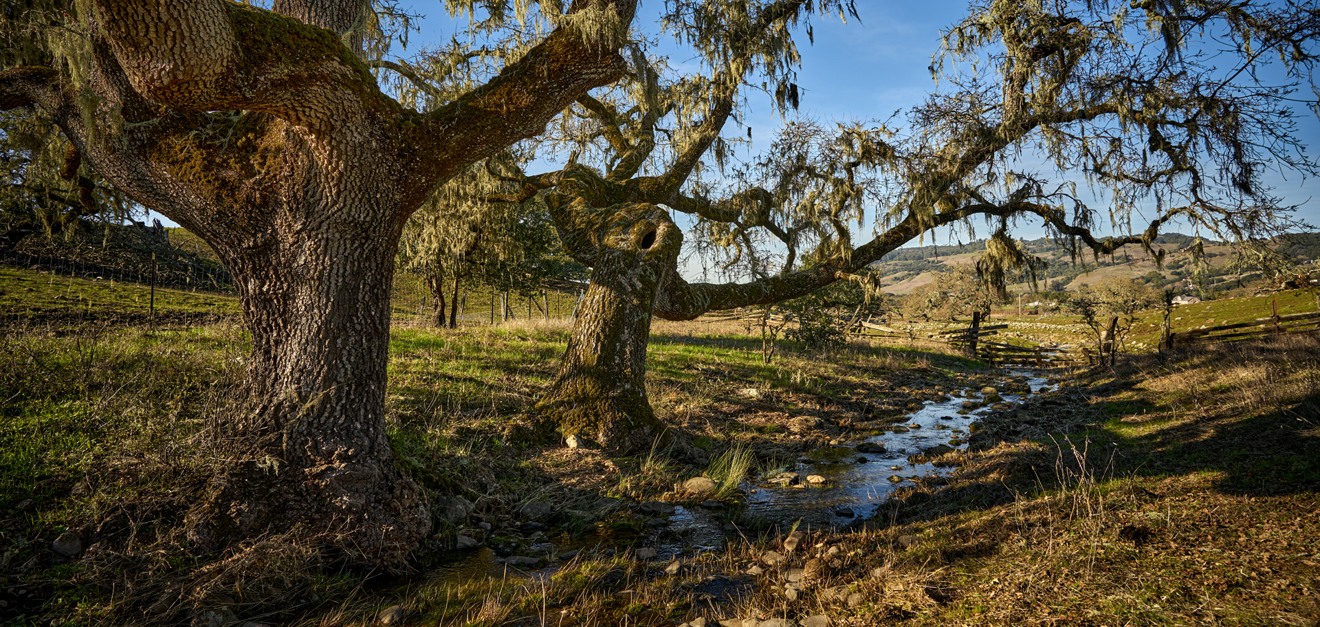 AdobeStock