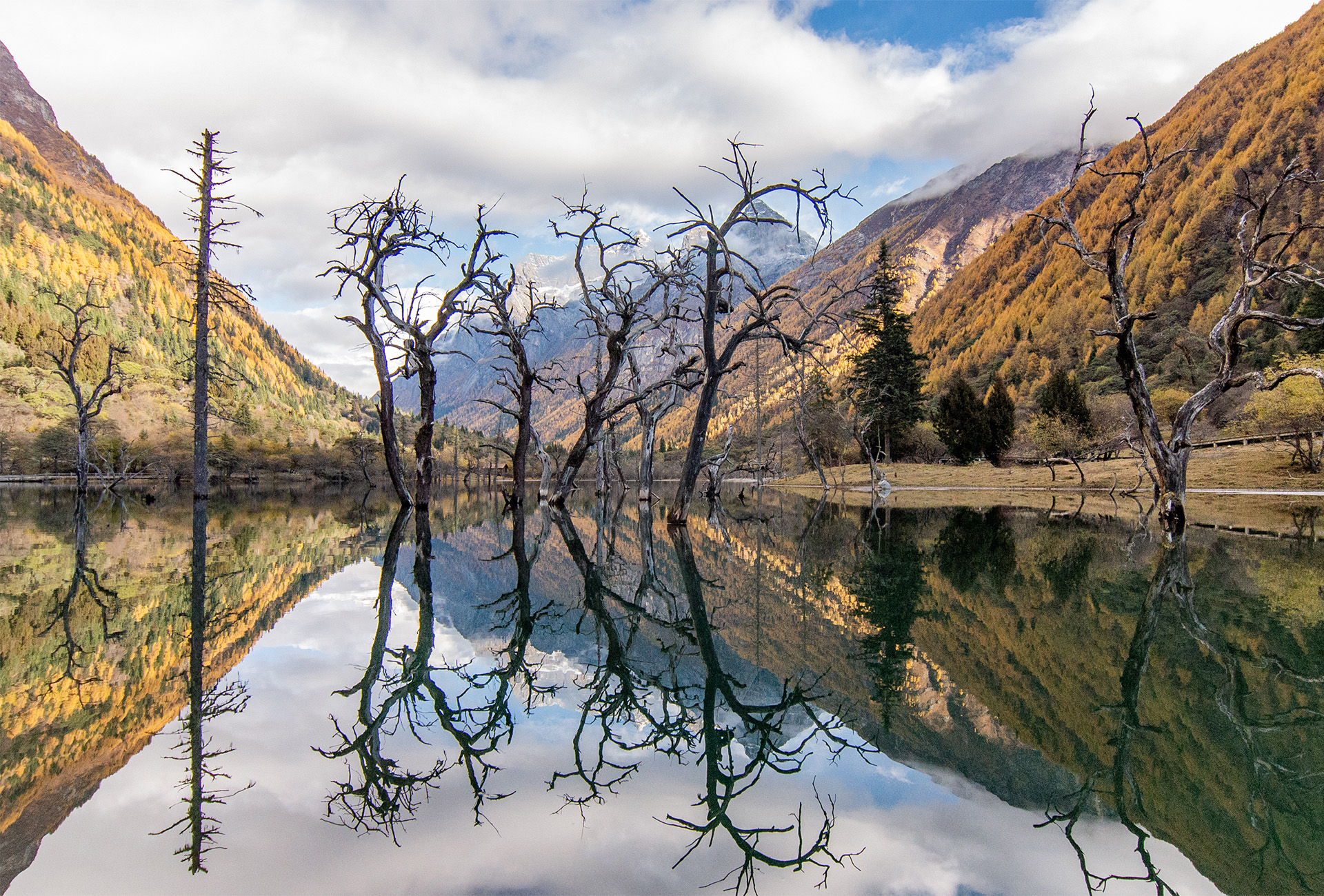 china foliage landscape